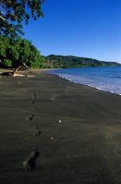 Archipel-des-Comores;-Forêt;-France;-Kaleidos;-Kaleidos-images;-La-parole-à-limage;-Laurent-Abad;-Mayotte;-Mer;-Océan-Indien;-Paysage;-Plage;-Sable-noir;-Stories-Pictures;-Traces-de-pas